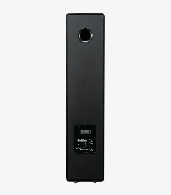 DIAMOND ACTIVE A2